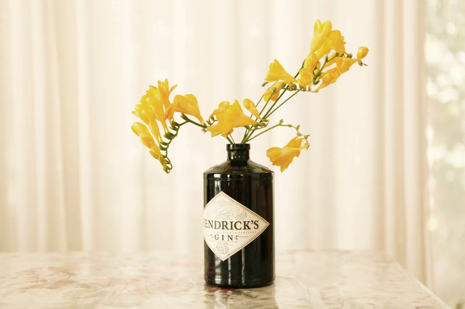 Inverroche — craft gin and fynbos botanicals (illustrative)