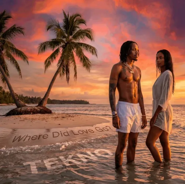 Tekno's 'Port Au Prince' Turns a Passport Into a Pillow — and the Diaspora Into a Destination